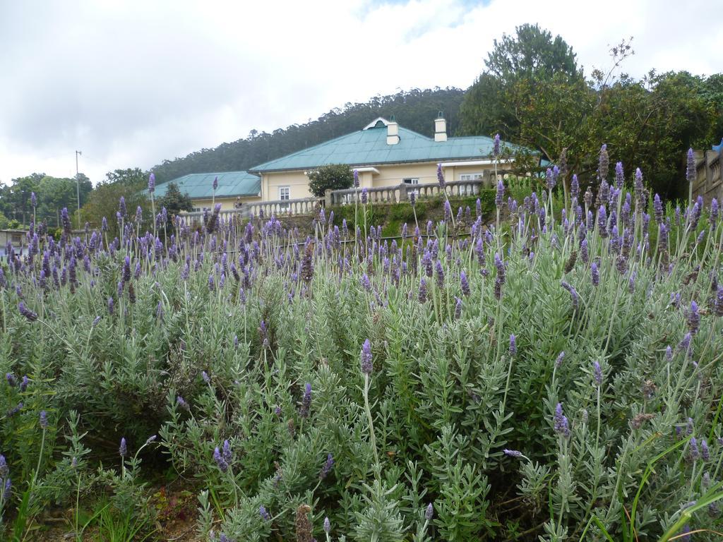 Senani Colonial Holiday Bungalow Нувара-Елія Номер фото